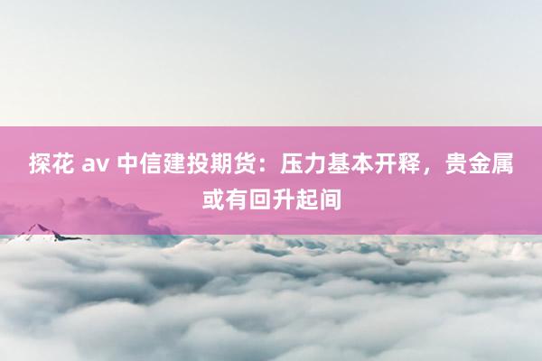 探花 av 中信建投期货：压力基本开释，贵金属或有回升起间