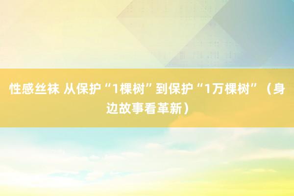 性感丝袜 从保护“1棵树”到保护“1万棵树”（身边故事看革新）