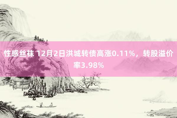 性感丝袜 12月2日洪城转债高涨0.11%，转股溢价率3.98%