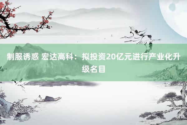 制服诱惑 宏达高科：拟投资20亿元进行产业化升级名目