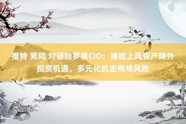 推特 男同 对话施罗德CIO：捕捉上风资产除外投资机遇，多元化抗击商场风险