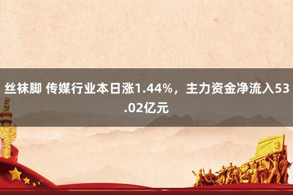 丝袜脚 传媒行业本日涨1.44%，主力资金净流入53.02亿元