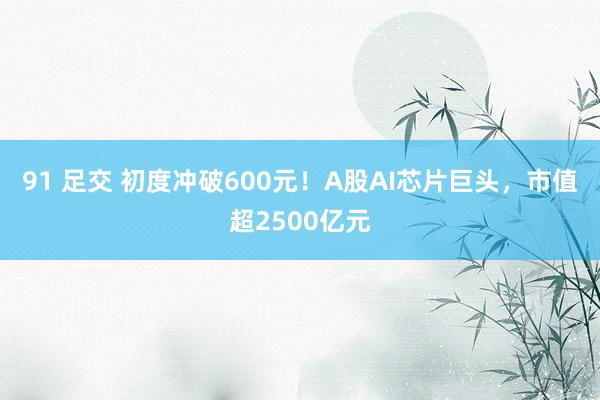 91 足交 初度冲破600元！A股AI芯片巨头，市值超2500亿元