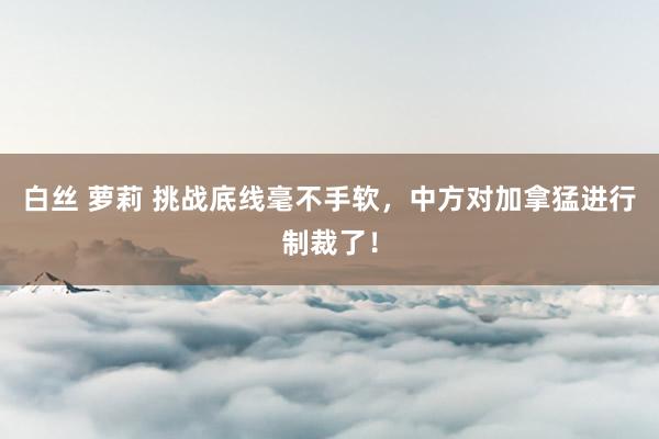 白丝 萝莉 挑战底线毫不手软，中方对加拿猛进行制裁了！
