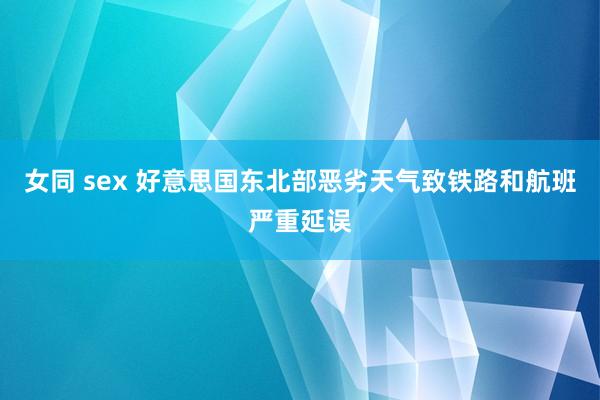 女同 sex 好意思国东北部恶劣天气致铁路和航班严重延误