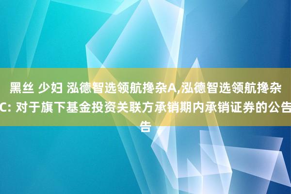 黑丝 少妇 泓德智选领航搀杂A，泓德智选领航搀杂C: 对于旗下基金投资关联方承销期内承销证券的公告