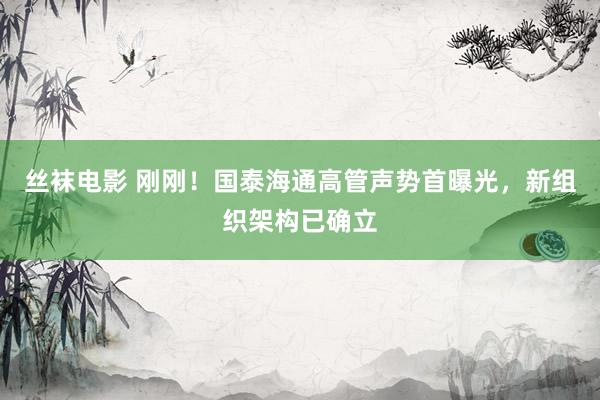丝袜电影 刚刚！国泰海通高管声势首曝光，新组织架构已确立